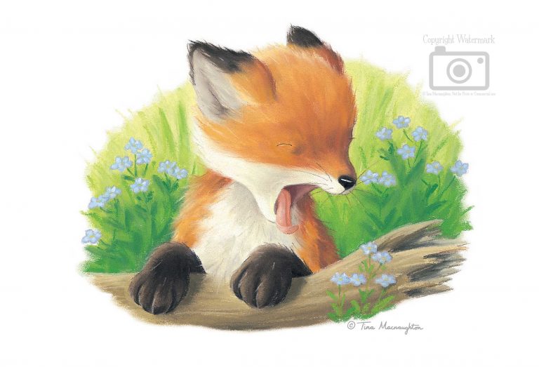 Time for Bed, Little One illustrated by Tina Macnaughton.